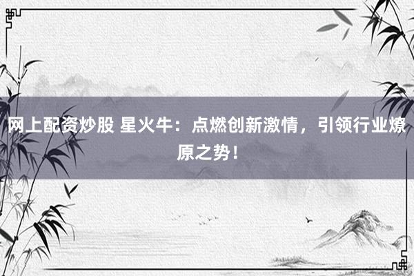 网上配资炒股 星火牛：点燃创新激情，引领行业燎原之势！