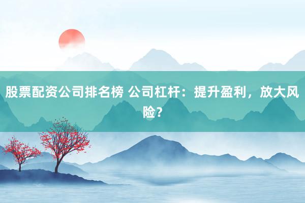 股票配资公司排名榜 公司杠杆：提升盈利，放大风险？