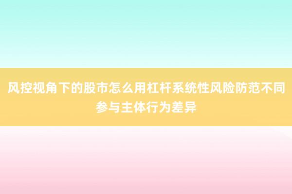 风控视角下的股市怎么用杠杆系统性风险防范不同参与主体行为差异