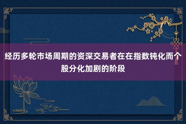经历多轮市场周期的资深交易者在在指数钝化而个股分化加剧的阶段