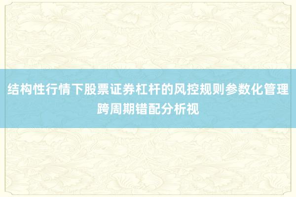 结构性行情下股票证券杠杆的风控规则参数化管理跨周期错配分析视