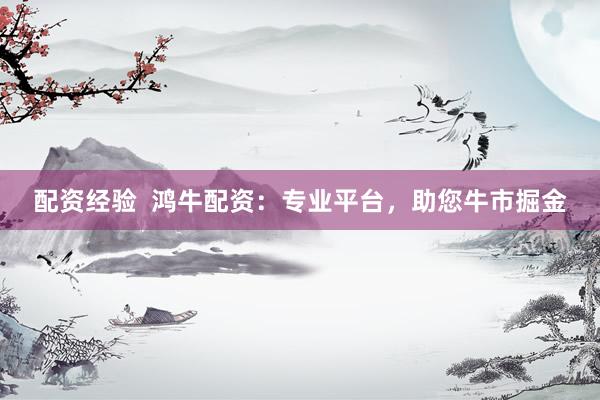 配资经验  鸿牛配资：专业平台，助您牛市掘金