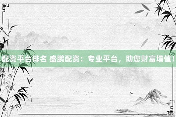 配资平台排名 盛鹏配资：专业平台，助您财富增值！
