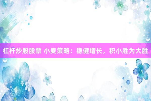 杠杆炒股股票 小麦策略：稳健增长，积小胜为大胜