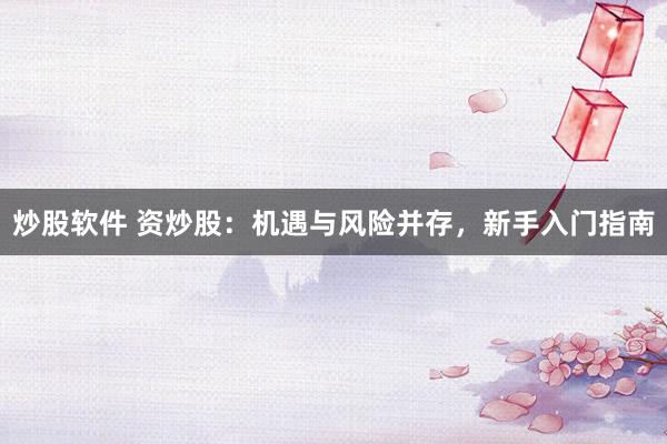 炒股软件 资炒股：机遇与风险并存，新手入门指南